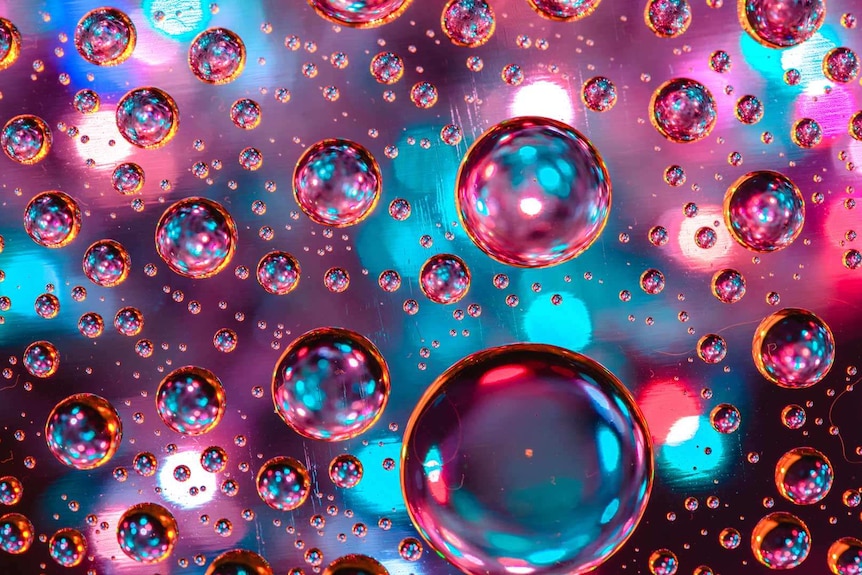Dozens of pink and blue bubbles or varying sizes.