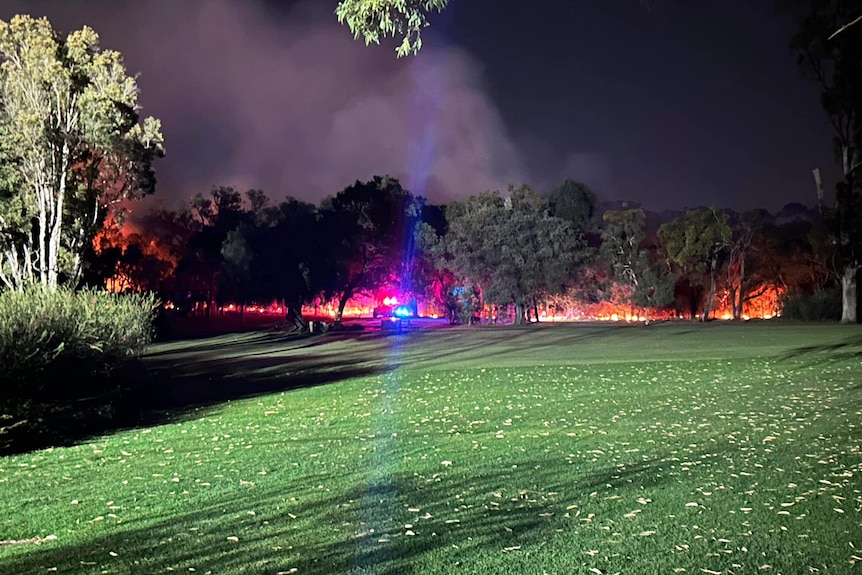 A fire burning at night in a park behind a lit up area of grass.