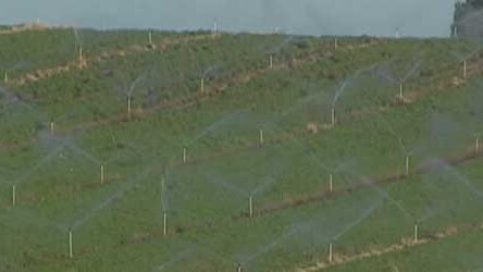 Hunter Valley irrigators warned of possible price regulation changes.