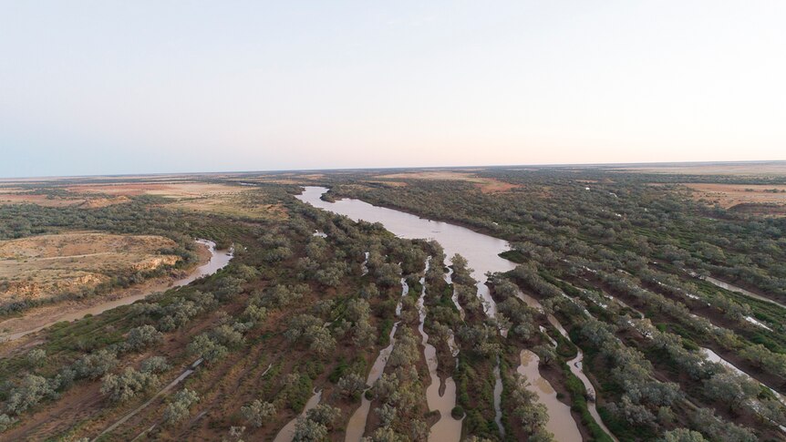 Channels in the Diamantina River system converge into one big water way, in July 2019.