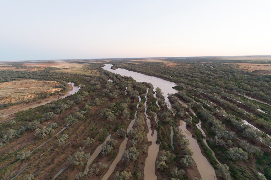 Channels in the Diamantina River system converge into one big water way, in July 2019.