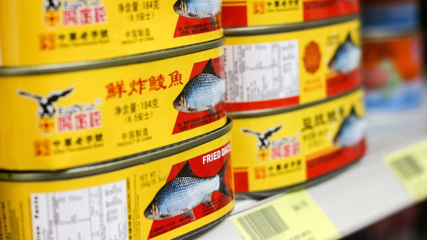 Six brightly coloured tins of sardines.