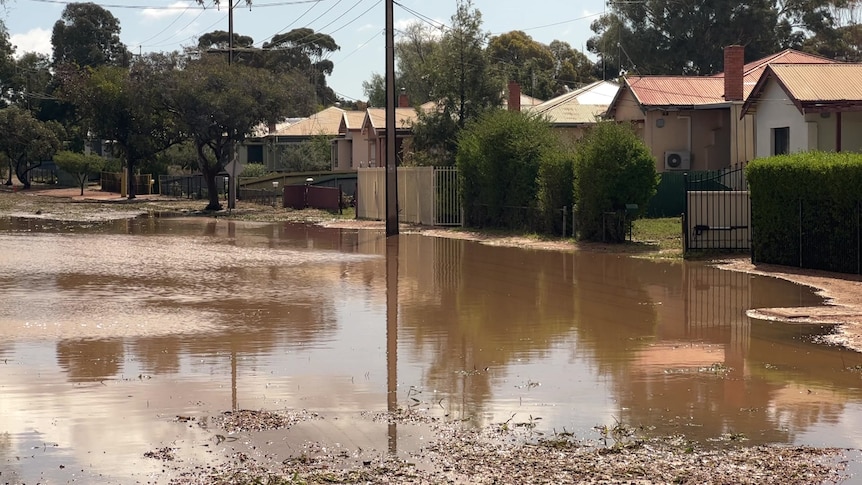 Port Augusta businesses and homes face heavy losses from severe rain and hail