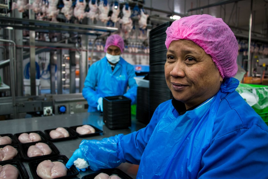 Hazeldene's worker, Josie Brennan is packaging the new range of antibiotic free chickens at Hazeldene's.