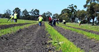 Modern slavery in Australia