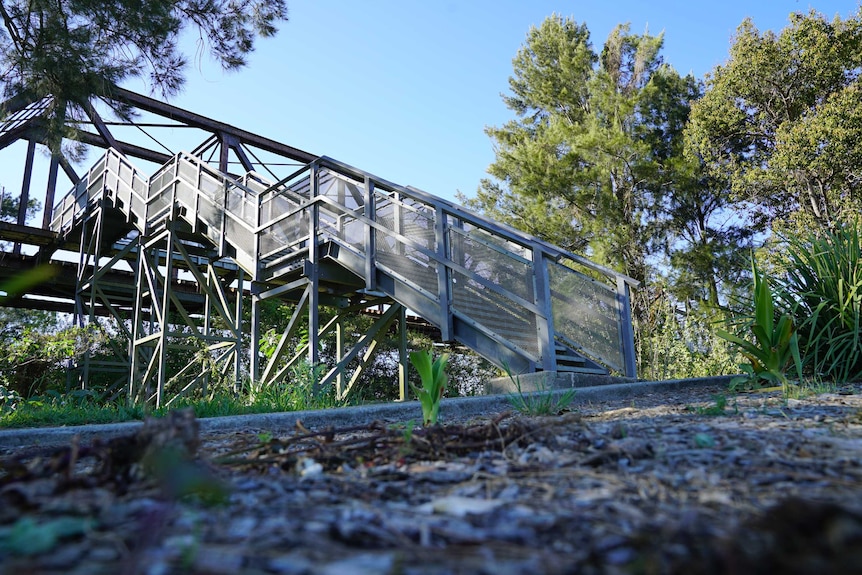 A staircase leading up to a railway bridge along the train tracks where Lewis "Buddy" Kelly's body was found.