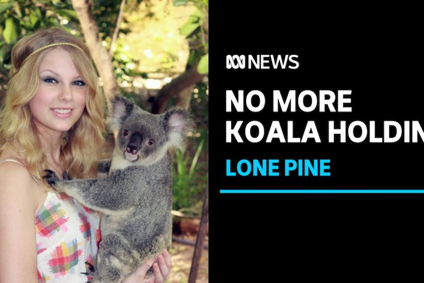 No More Koala Holding, Lone Pine: Taylor Swift with long blonde hair holds a koala.