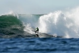 Shawn dollar surfs wave
