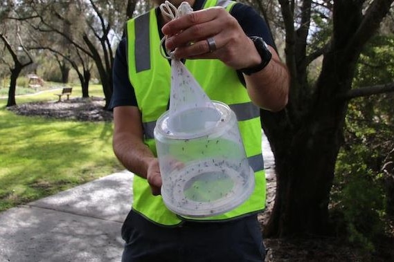 A neck-down photo of a person wearing a green hi-viz vest holding a white mosquito trap.