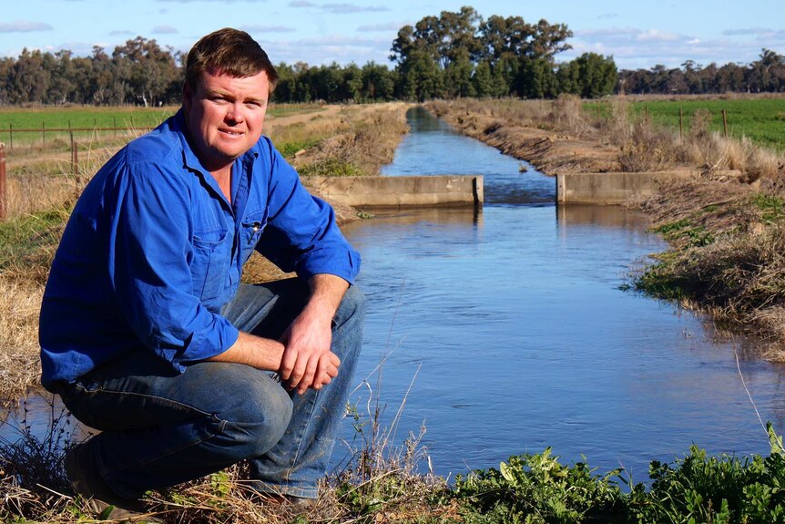 A heavyset serious middle-aged man wears blue shirt, jeans, crouches at an irrigation channel, paddocks, trees behind.