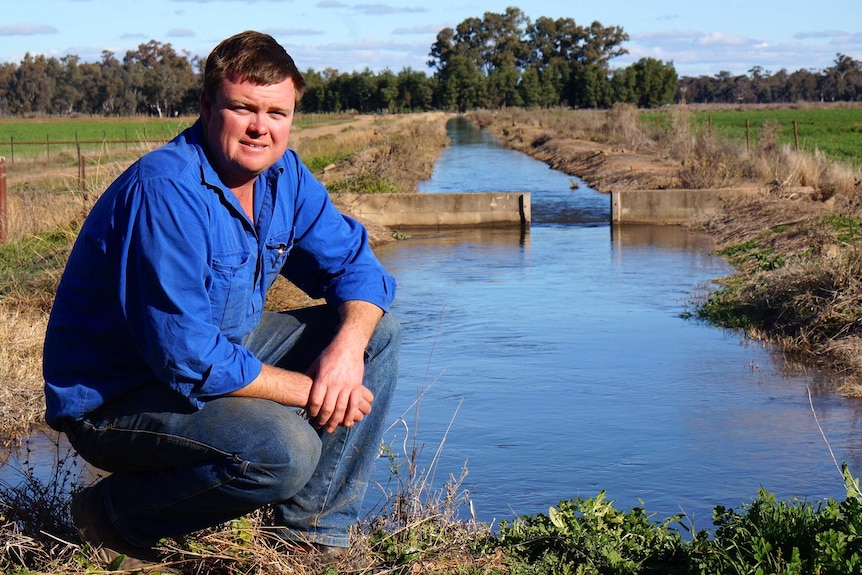 A heavyset serious middle-aged man wears blue shirt, jeans, crouches at an irrigation channel, paddocks, trees behind.