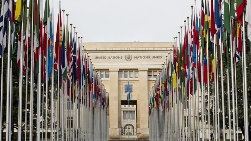 The united nations buildings with a row of flags