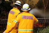 Rain prompts RFS to rethink bushfire danger start date in Hunter.