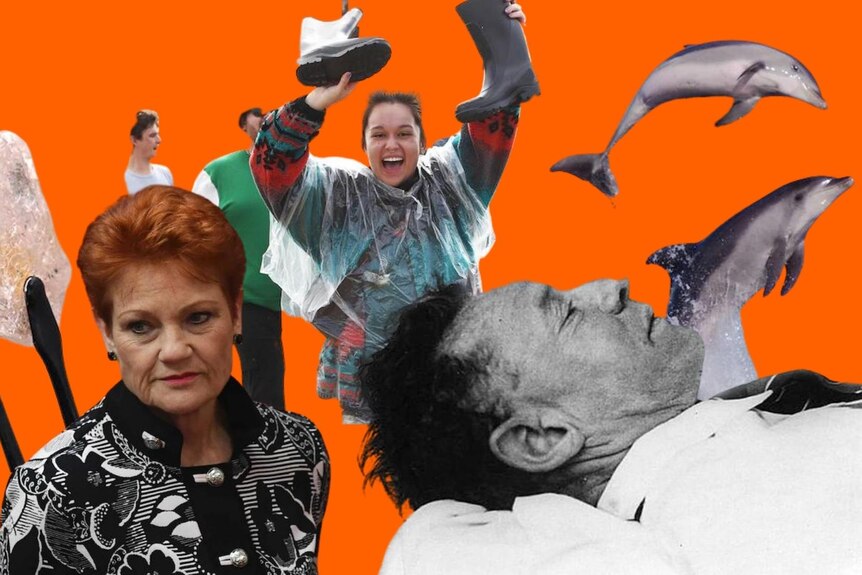 A composite image of a large diamond, Pauline Hanson, a girl holding gumboots and smiling, dolphins and a man lying down