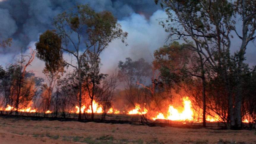North coast facing bushfire danger