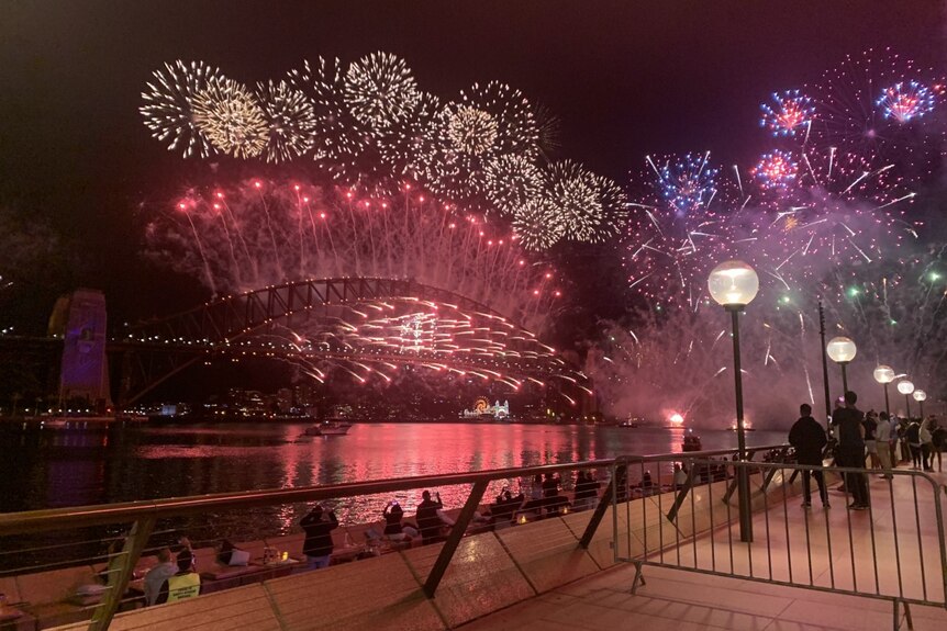 A handful of revellers watched on as fireworks lit up the night sky in Sydney.