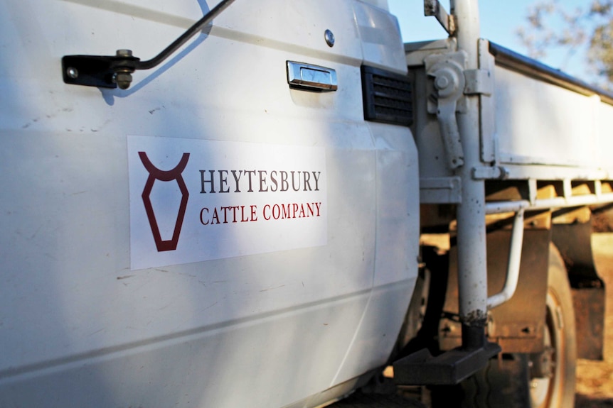 a white ute with "Heytesbury Cattle Company" written on the door.