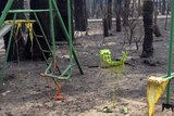 Remains of a playset melted by a bushfire.