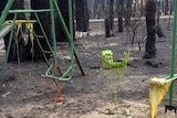 Remains of a playset melted by a bushfire.