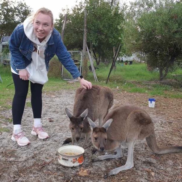 a woman pats kangaroos