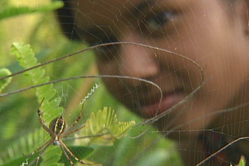 15-year-old Shanaya Perera conquered a fear of spiders with the help of medication