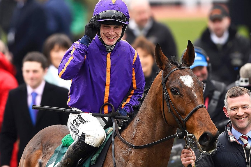 Melbourne Cup contender Wicklow Brave