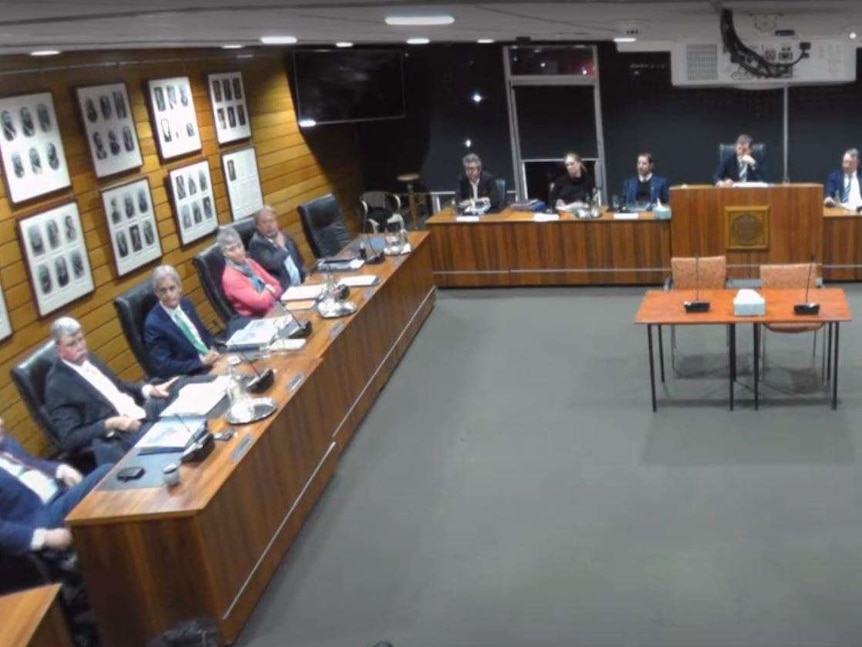 A screen grab of a live streamed council meeting