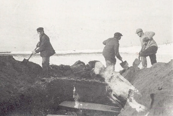 Black and white photo showing three men with shovels burying coffins in a long trench.