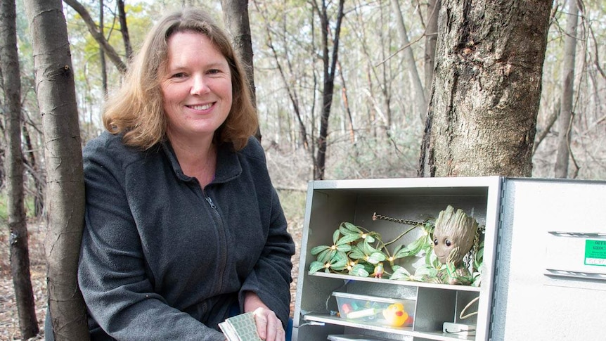 Canberra woman opening a large geocache container