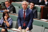 Andrew Giles answers a question in question time 