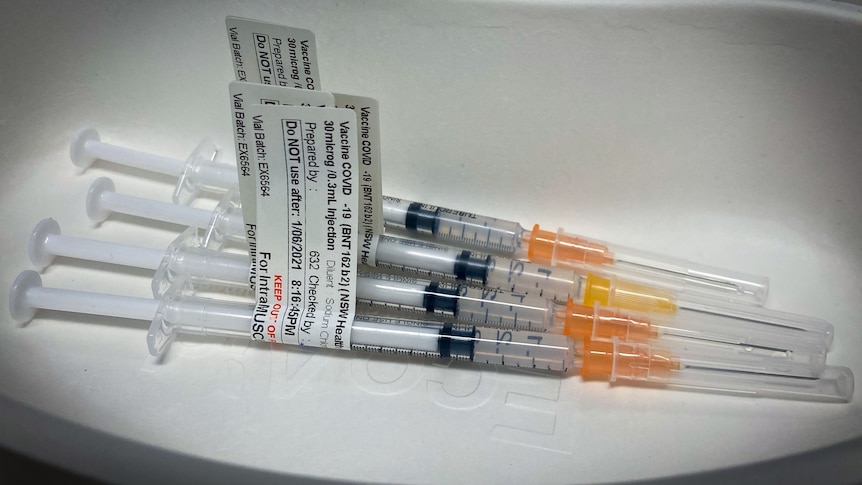 Four syringes containing doses of the Pfizer COVID-19 vaccine lying in a white tray.