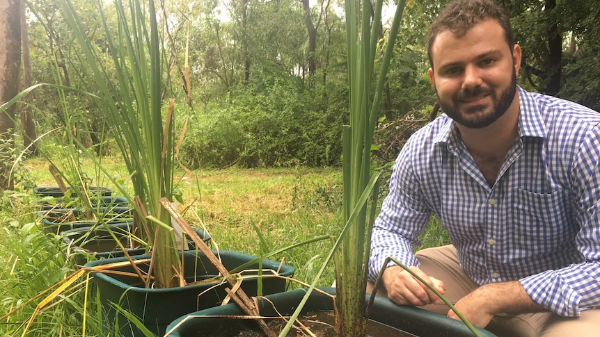 Jordan Phasey and his small constructed wetland trial