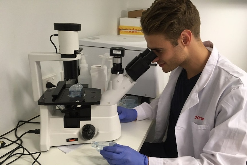 A young scientist looks into a microscope in a laboratory