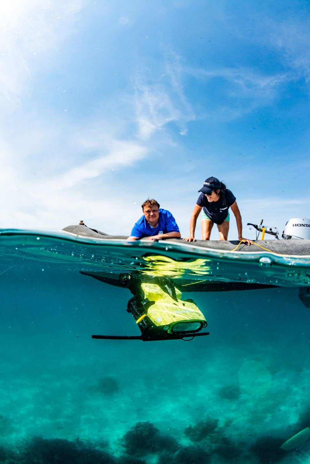 How IVF-type technology is giving dying coral on the Great Barrier Reef ...