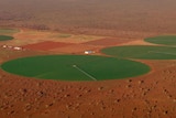 an aerial photo of a farm with green centre-pivot irrigators surrounded by red dirt.