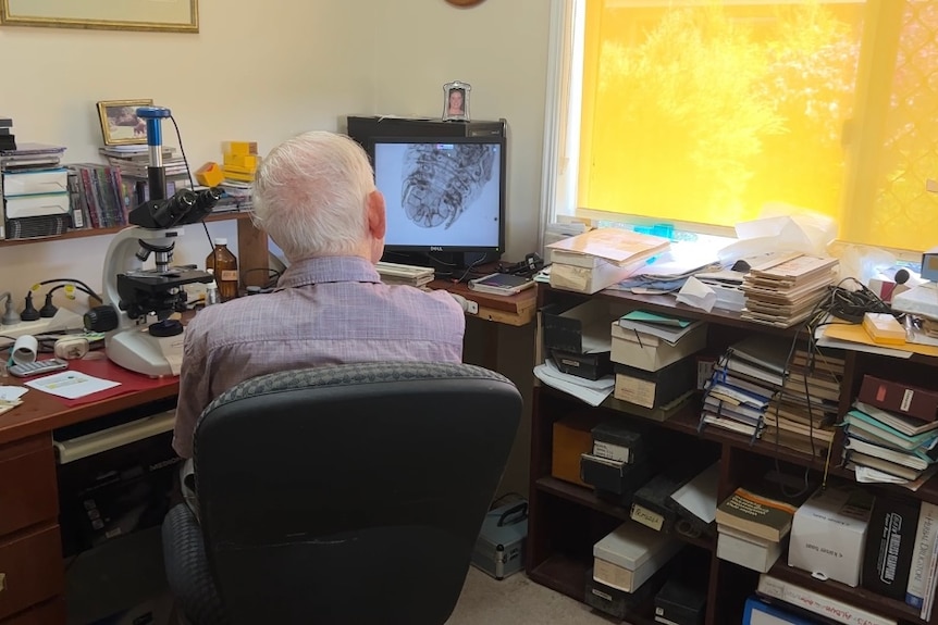 A man with grey hair sits at a cluttered desk looking at a microscope slide on a screen