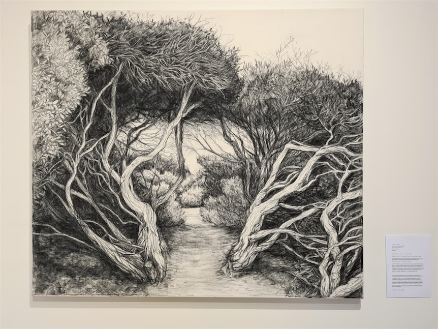 Large charcoal drawing of dense ti trees hanging on a wall.