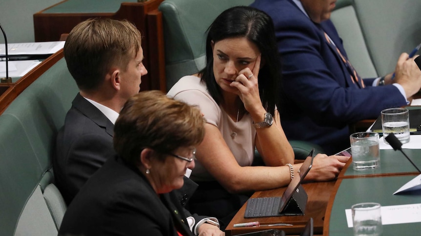 Ms Husar looks at her colleague Julian Hill, while sitting on the backbench.