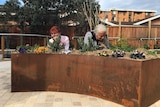 Two women smell herbs at the pick and sniff section of the dementia garden in Port Macquarie.