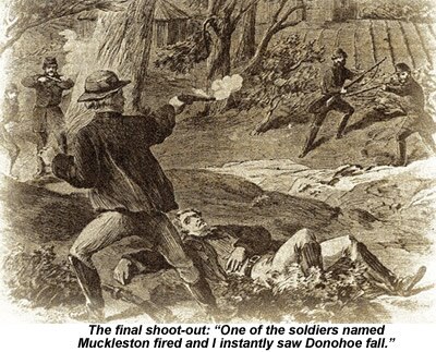 Bushrangers Of The Sydney Region