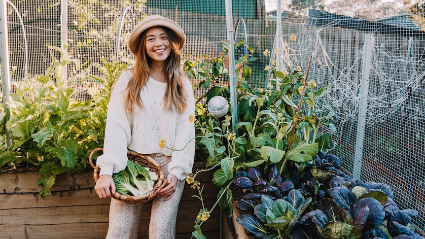 A young woman in a sunhat holds a basket fall of greens as she stands next two raised vege beds.