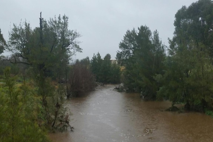 A large brown river flowing fast surrounded by trees
