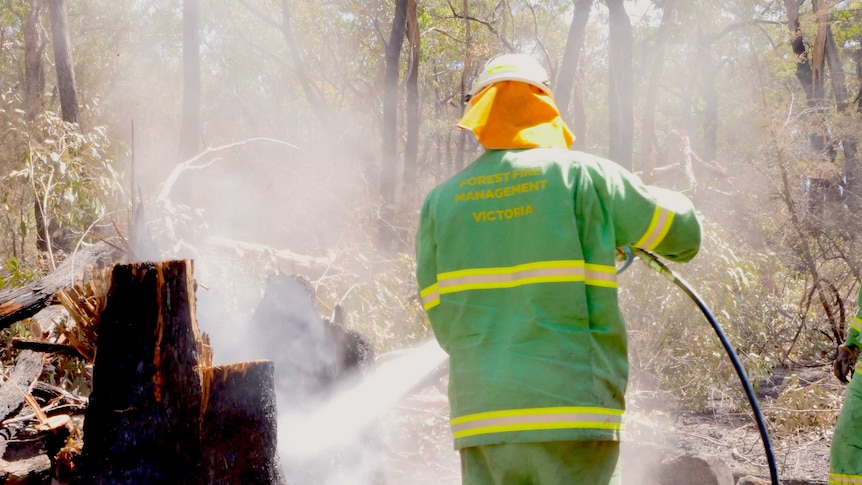 A firefighter in a green outfit uses a hose to hose out a smoking and blackened tree stump in the forest.