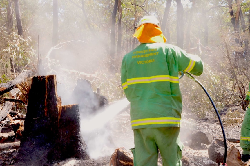 A firefighter in a green outfit uses a hose to hose out a smoking and blackened tree stump in the forest.