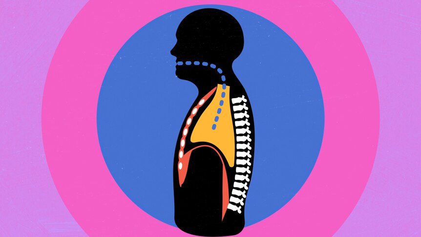 Graphic image of side profile of human showing respiratory system