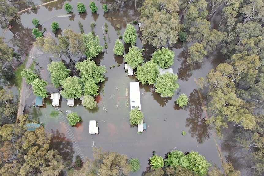 A flooded landscape with trees and buildings.
