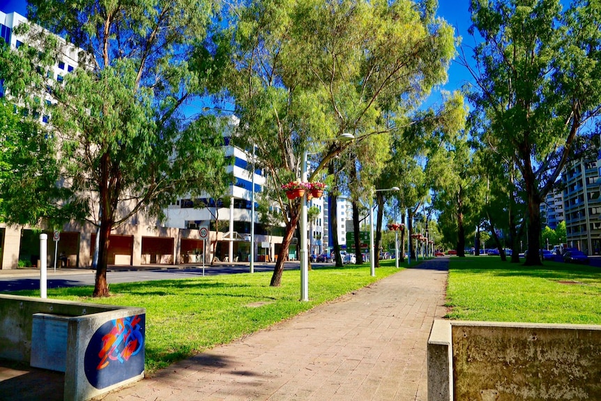 Northbourne Avenue as it looks today.