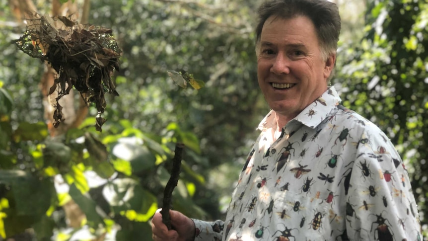 A man with short hair, wearing a bug-patterned shirt, holds a stick while standing in the bush.