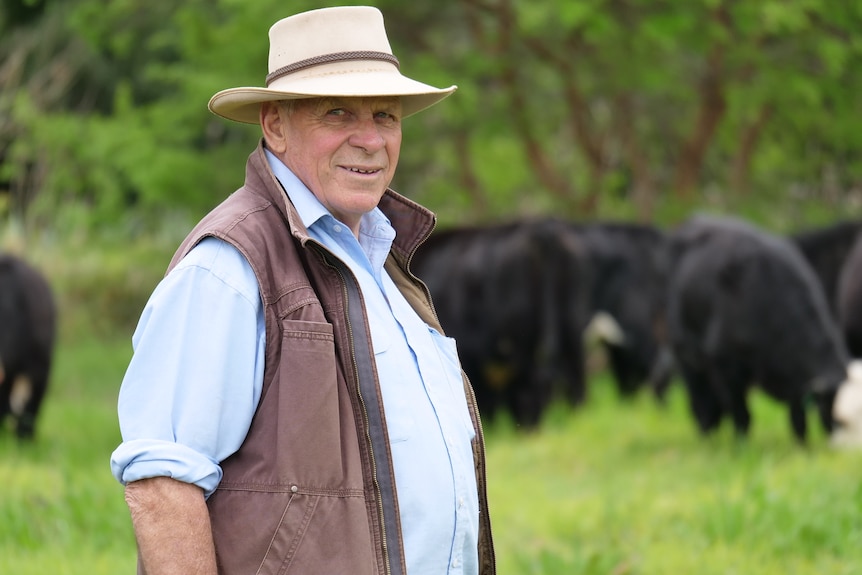 A man in a blue shirt, brown vest and hat standing in front of black cattle.