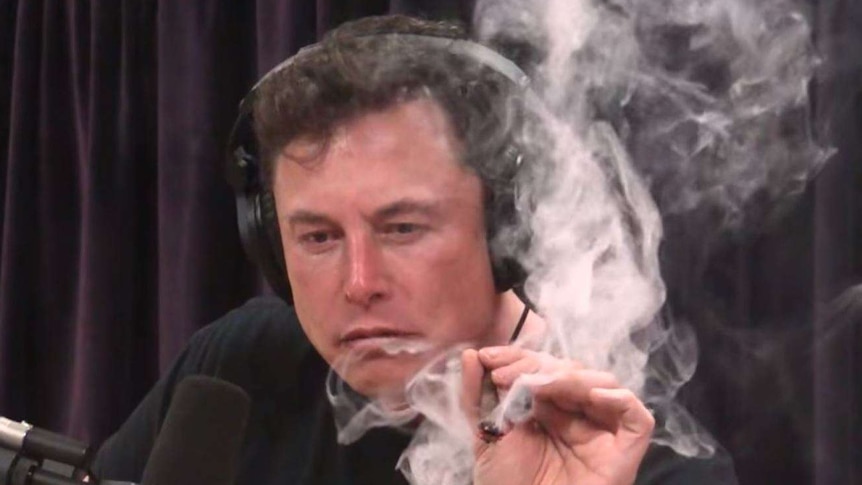 Elon Musk smoking marijuana